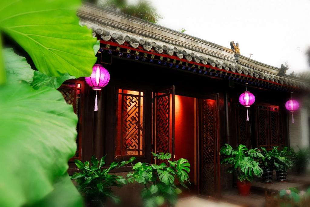 Graceland Yard Hotel Peking Rum bild