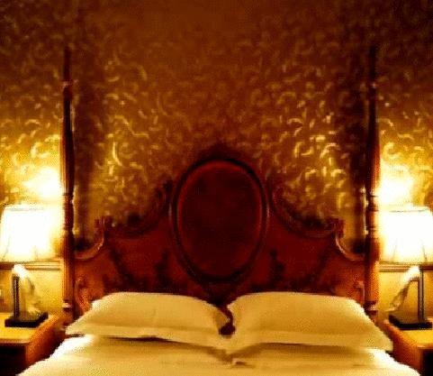 Graceland Yard Hotel Peking Rum bild